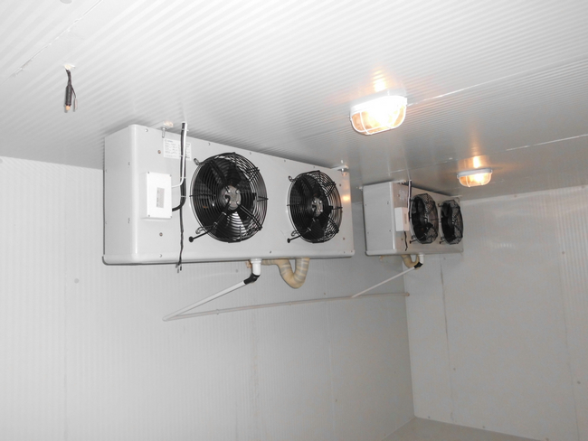 什么是冰庫？冰庫如何設(shè)計建造